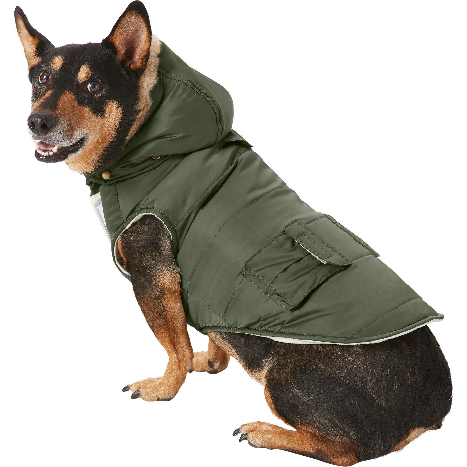 Frisco Mid-Heavyweight Portland Insulated Dog & Cat Parka, Olive Green, Large