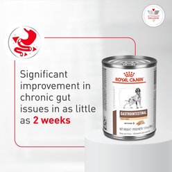 Royal Canin Veterinary Diet Gastrointestinal High Fiber Loaf in Sauce Wet Dog Food, 13.5-oz can, case of 24 slide 2 of 9