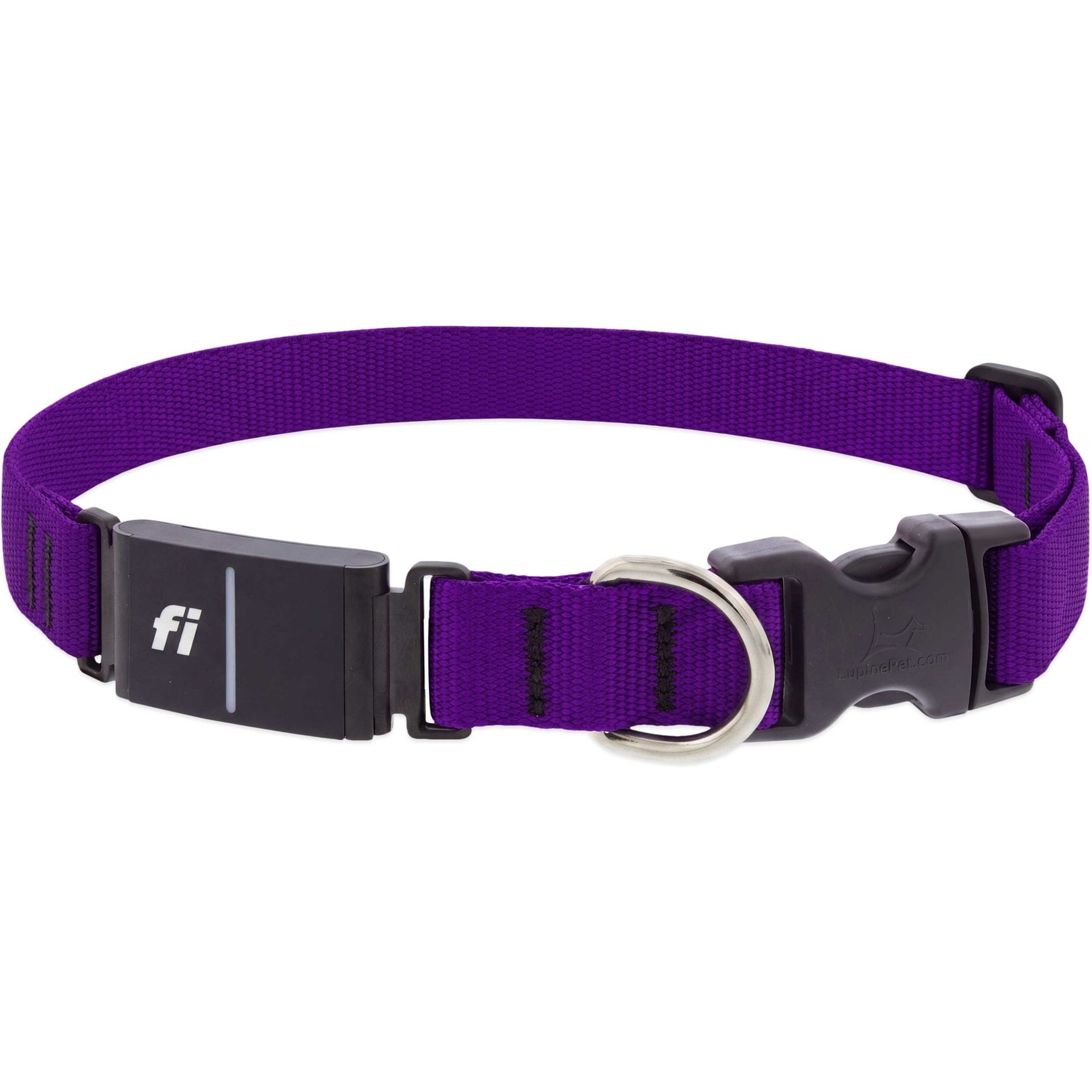LupinePet Basic Solid Adjustable Activity Tracker Fi-Compatible GPS Dog Collar, Purple, Small: 13 to 16-in neck, 1-in wide