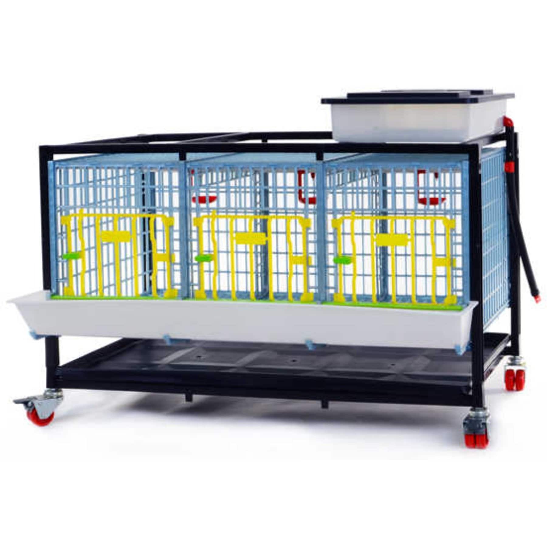 Hatching Time Comfortplast Grow Out Pen 1 Layer 3 Section Poultry Coop, Medium: 15-in