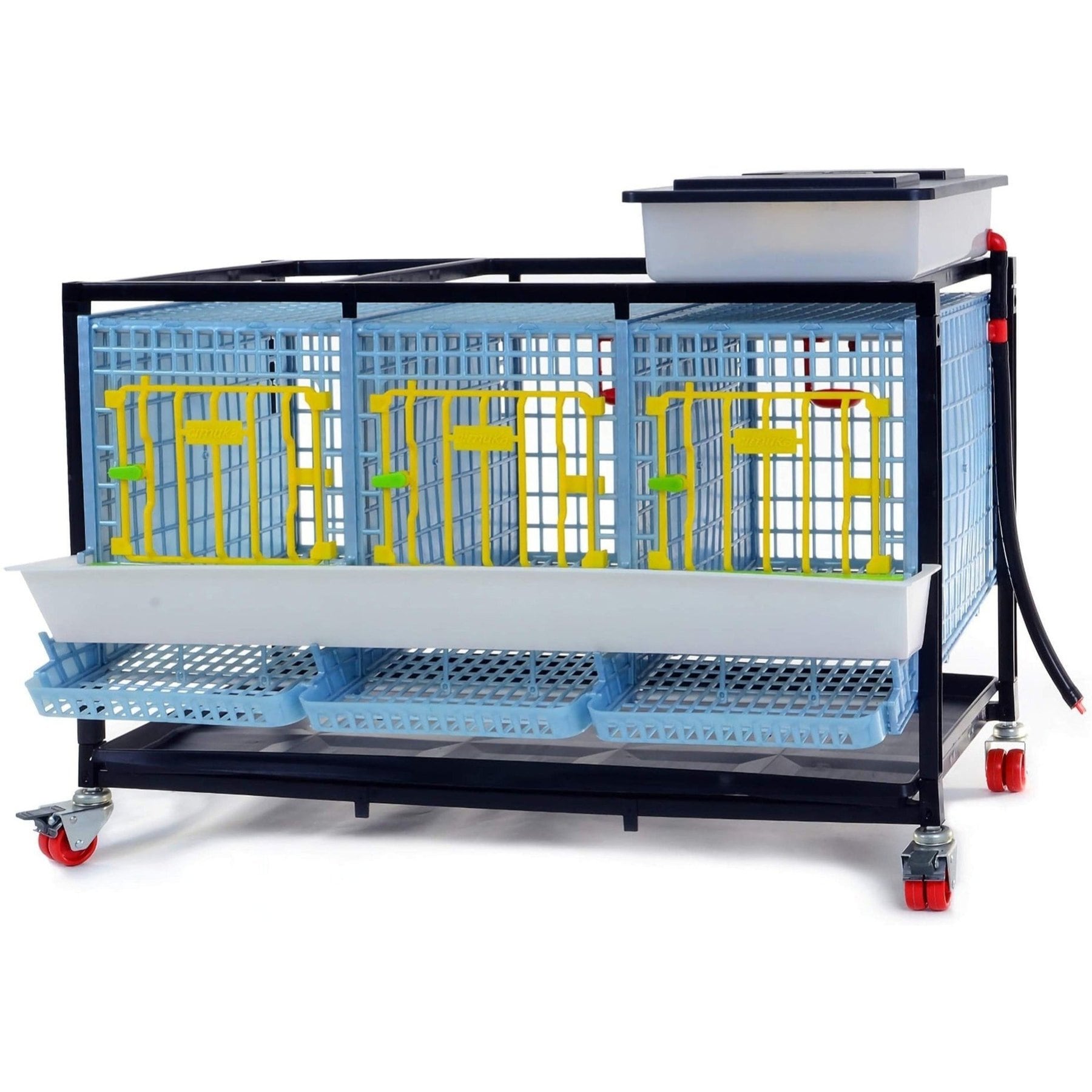 Hatching Time Comfortplast Partridge Cage 1 Layer 3 Section Poultry Coop, Medium