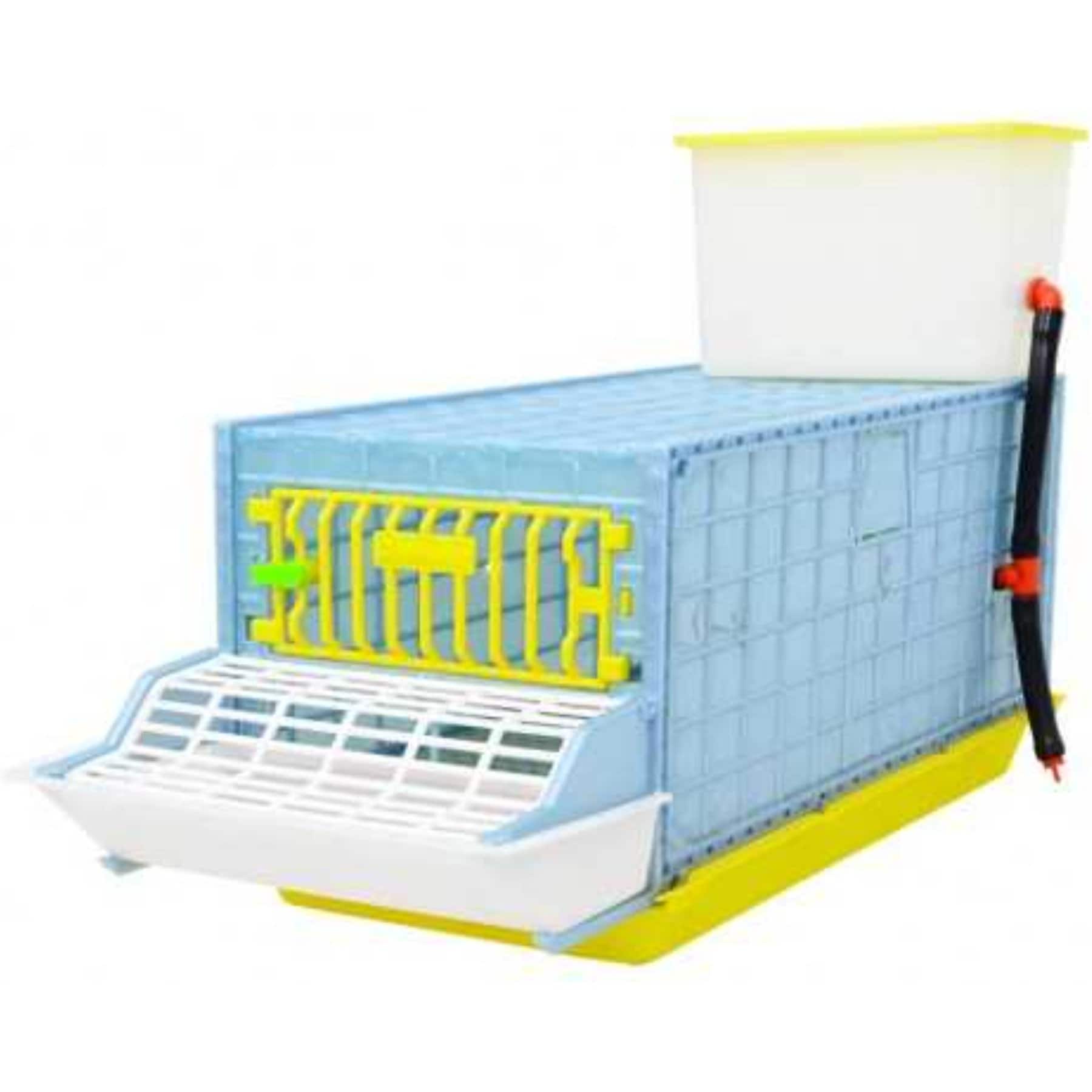 Hatching Time Comfortplast Grow Out Pen 1 Section Poultry Coop, Small: 9.5-in