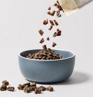 Dog Food