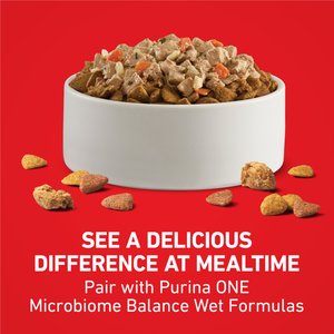 Purina ONE Digestive & Gut Health Support Chicken & Rice Formula Dry Dog Food, 40-lb bag