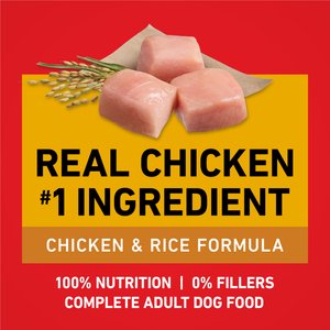 Purina ONE Digestive & Gut Health Support Chicken & Rice Formula Dry Dog Food, 40-lb bag