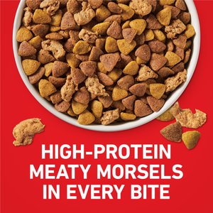 Purina ONE Digestive & Gut Health Support Chicken & Rice Formula Dry Dog Food, 40-lb bag