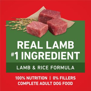 Purina ONE Digestive & Gut Health Support Lamb & Rice Formula Dry Dog Food, 40-lb bag
