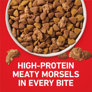 Purina ONE Digestive & Gut Health Support Lamb & Rice Formula Dry Dog Food, 40-lb bag