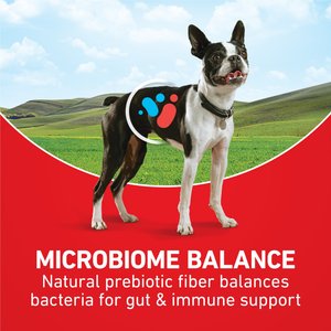 Purina ONE Natural Small Bites Beef & Rice Formula High-Protein Dry Dog Food, 31.1-lb bag