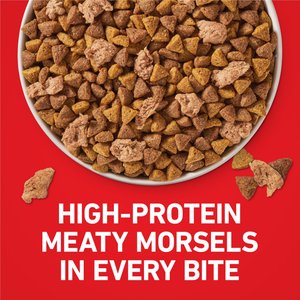 Purina ONE Natural Small Bites Beef & Rice Formula High-Protein Dry Dog Food, 31.1-lb bag