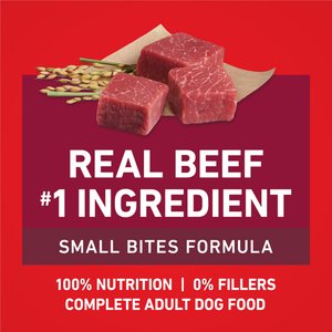 Purina ONE Natural Small Bites Beef & Rice Formula High-Protein Dry Dog Food, 31.1-lb bag
