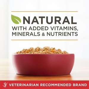 Purina ONE Classic Ground Chicken & Brown Rice Entree Adult Wet Dog Food, 13-oz, case of 12