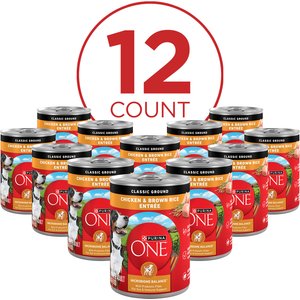 Purina ONE Classic Ground Chicken & Brown Rice Entree Adult Wet Dog Food, 13-oz, case of 12