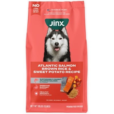 Jinx Jinx Salmon, Brown Rice & Sweet Potato ALS Kibble Dog Dry Food, 30-lb bag