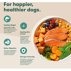 Jinx Salmon, Sweet Potato & Carrot ALS Kibble Dog Dry Food, 23.5-lb bag