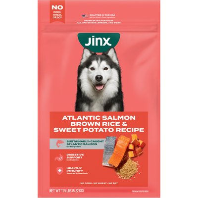 Jinx Jinx Salmon, Brown Rice & Sweet Potato ALS Kibble Dog Dry Food, 11.5-lb bag