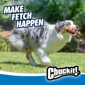 Chuckit! Ultra Fetch Stick Dog Toy