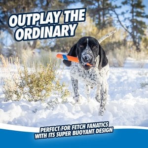 Chuckit! Ultra Fetch Stick Dog Toy