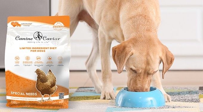 CANINE CAVIAR Wild Ocean Herring Limited Ingredient Diet Alkaline