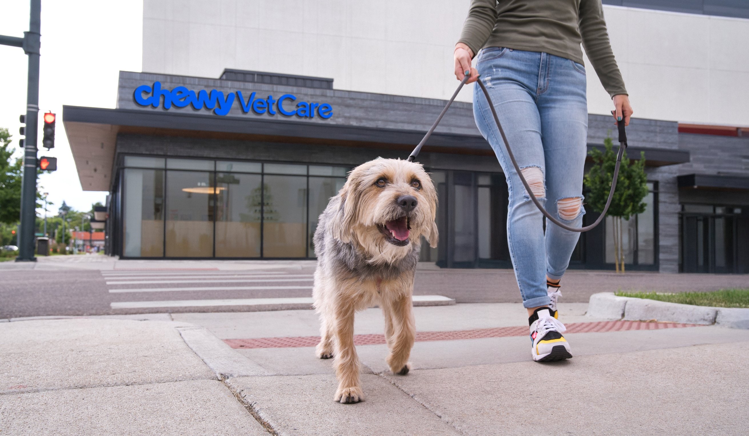 The exterior of Chewy Vet Care 9+CO