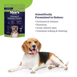 Moe's Healthy Pets Chicken Flavor Immunity Bites Chews for Dogs, 90 count slide 2 of 5