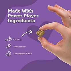 Moe's Healthy Pets Chicken Flavor Movin & Groovin Bites Chews for Dogs, 90 count slide 2 of 5