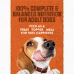 Show in main carousel: Moist & Meaty Burger with Cheddar Cheese Flavor Dry Dog Food, 6-oz pouch, case of 36 slide 4 of 11