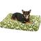 Show in main carousel: Molly Mutt Amarillo by Morning Square Dog Bed Duvet Cover, Huge, Medium/Large slide 1 of 9