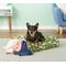 Show in main carousel: Molly Mutt Amarillo by Morning Square Dog Bed Duvet Cover, Huge, Small slide 1 of 10