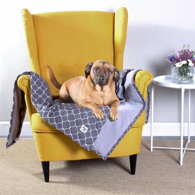 Show full view: Molly Mutt Clark Gable Dog & Cat Blanket, Grey, Large slide 2 of 2