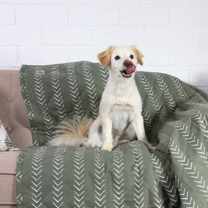 Molly Mutt Forever Young Dog Blanket, Medium