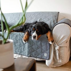 Molly Mutt Rough Gem 3-Seater 84-in Dog Couch Cover, Graphite, X-Large slide 2 of 3