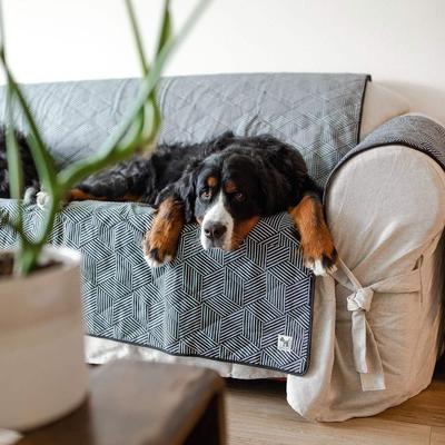 Show full view: Molly Mutt Rough Gem 3-Seater 84-in Dog Couch Cover, Graphite, X-Large slide 2 of 3