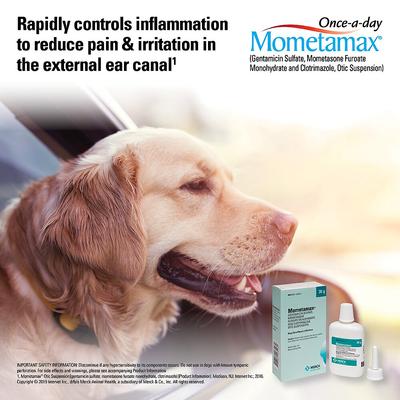Show full view: Mometamax (Gentamicin / Mometasone / Clotrimazole) Otic Suspension for Dogs, 15-g slide 5 of 9
