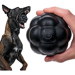 The Virtually Indestructible Ball Dog Toy, Color Varies