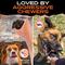 Show in main carousel: Monster K9 Dog Toys Indestructible Rumble Ball, Durable Interactive Dog Toy for Aggressive Chewers slide 6 of 10