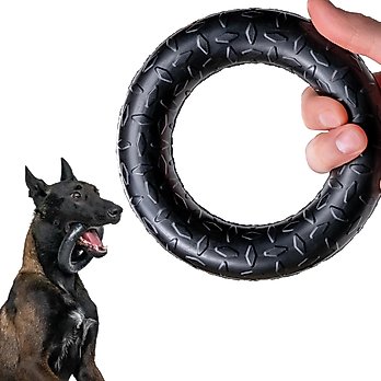 Indestructible Dog Toys (Free Shipping) | Chewy