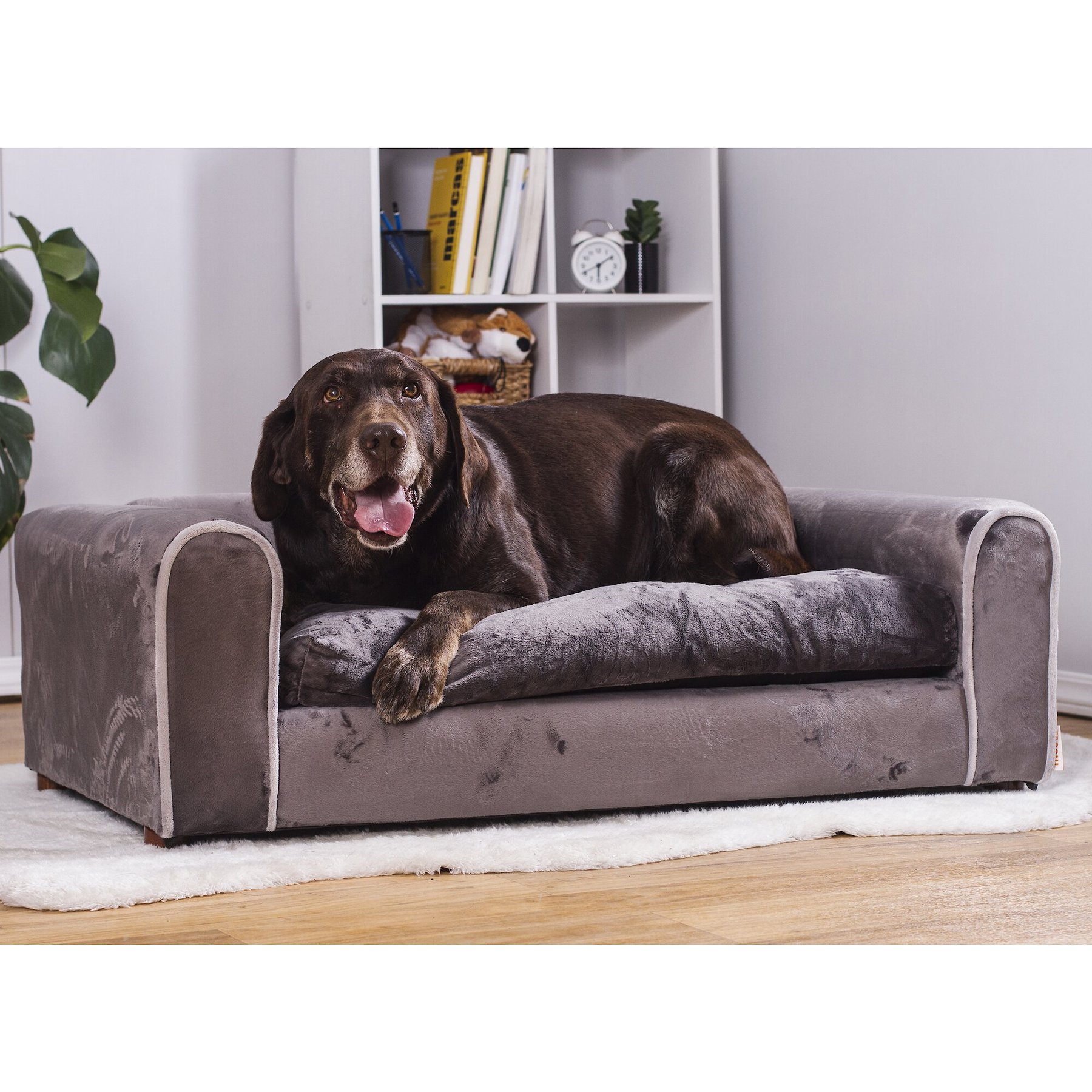 Moots Furry Sofa Lounge Orthopedic Elevated Cat & Dog Bed with Removable Cover, Charcoal, Large