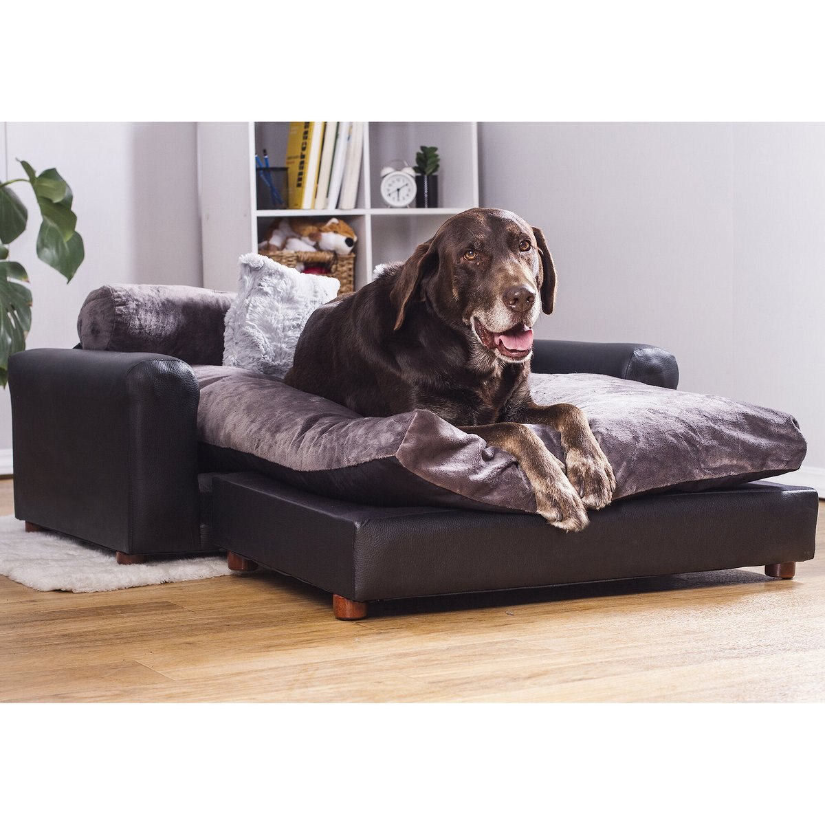 Moots Premium Leatherette Sofa Removable Cover Orthopedic Elevated Cat & Dog Bed, Black, X-Large