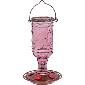 More Birds Amethyst Jewel Hummingbird Feeder, 20-oz