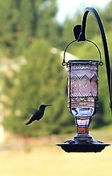 More Birds Amethyst Jewel Hummingbird Feeder, 20-oz slide 2 of 3