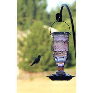 More Birds Amethyst Jewel Hummingbird Feeder, 20-oz