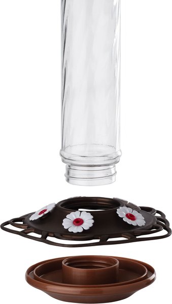 More Birds Bird Health Prestige Glass Hummingbird Feeder, 13-oz