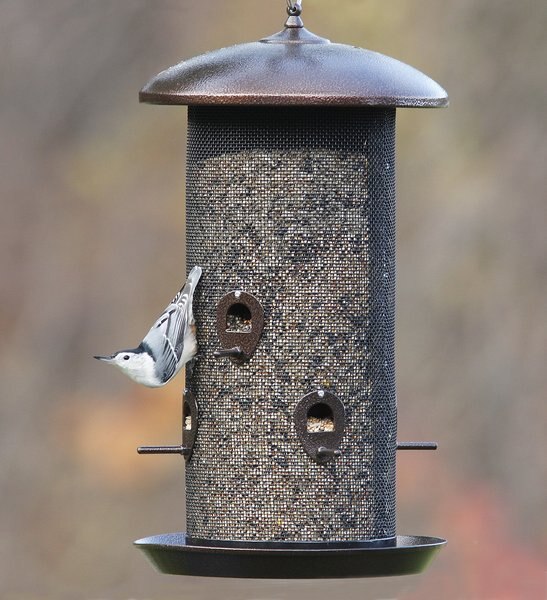 More Birds Giant Combo Screen Bird Feeder