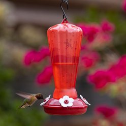 More Birds Hollyhock Hummingbird Feeder, 25-oz slide 2 of 3