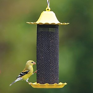 More Birds Little-Bit Finch Screen Feeder