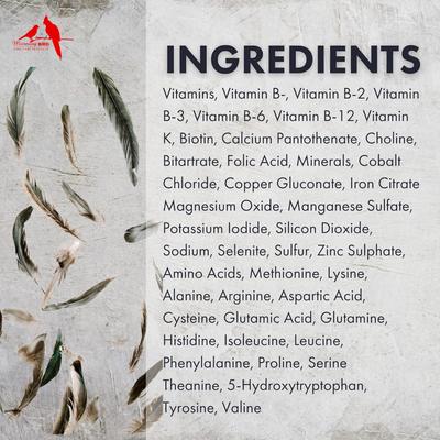 Show full view: Morning Bird Feather Fast Bird Supplement, 1-oz jar slide 6 of 8