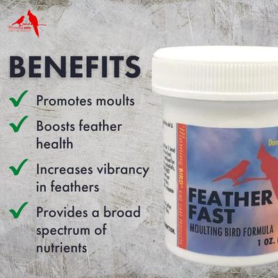 Show full view: Morning Bird Feather Fast Bird Supplement, 1-oz jar slide 3 of 8