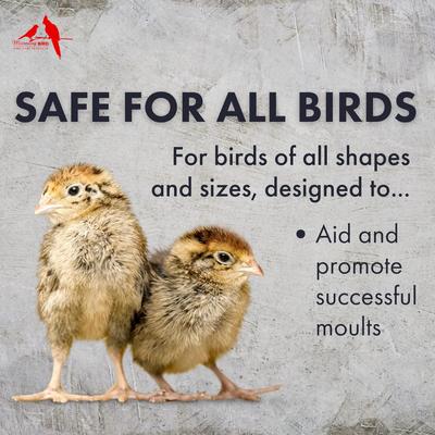 Show full view: Morning Bird Feather Fast Bird Supplement, 1-oz jar slide 4 of 8