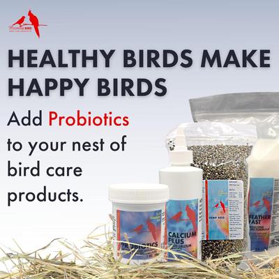Show full view: Morning Bird Probiotics Bird Supplement, 3-oz jar slide 6 of 7